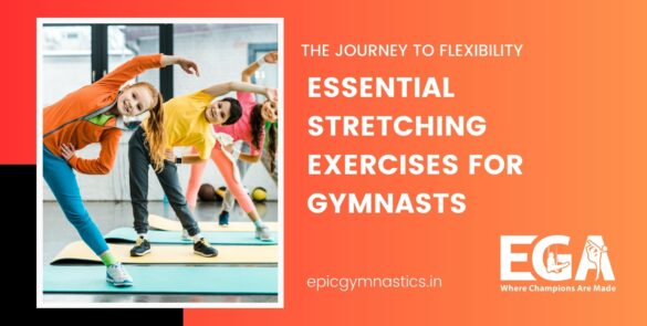 The Journey to Flexibility: Essential Stretching Exercises for Gymnasts