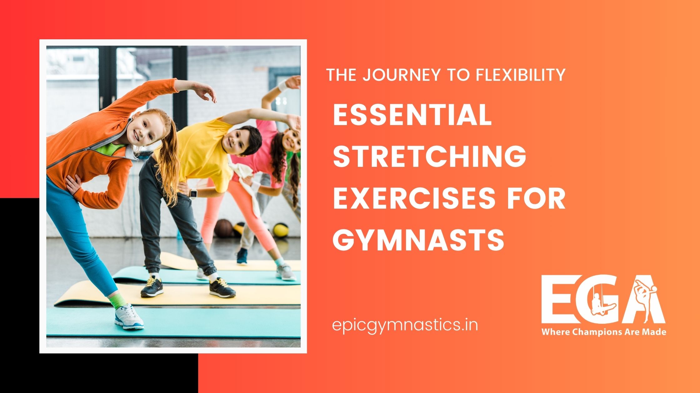 The Journey to Flexibility: Essential Stretching Exercises for Gymnasts